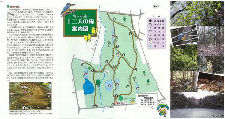十二天の森パンフレット(裏面)