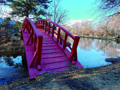 馬見塚公園の太鼓橋
