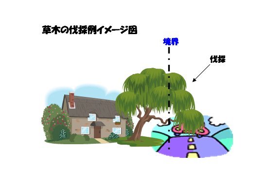 草木の伐採イメージ図