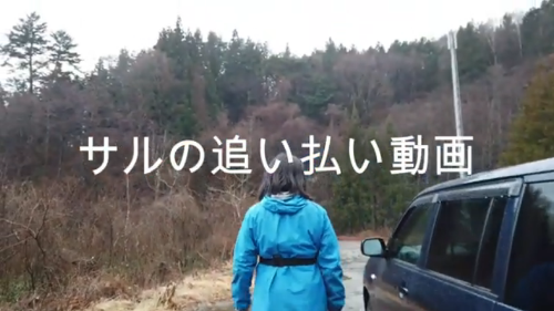サル追い動画