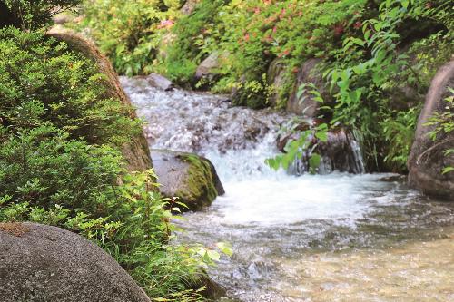 山から湧き出す豊富な伏流水