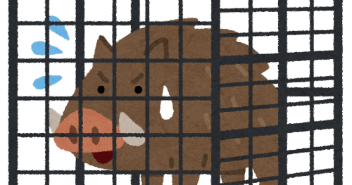 イノシシ