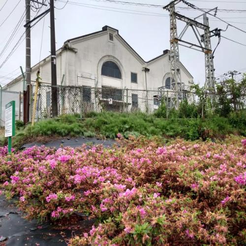 さわやかウォーキング中の景色1