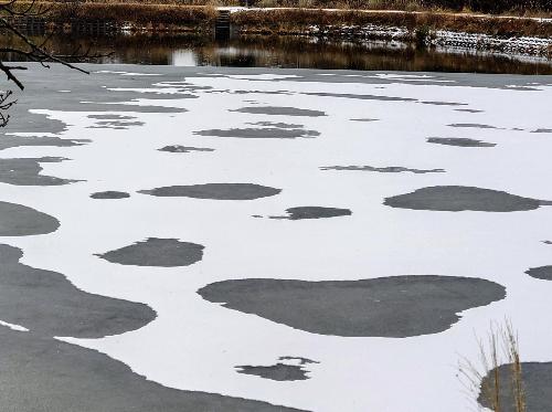 結氷した大沼湖