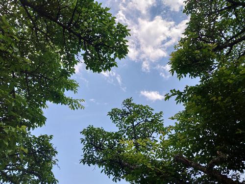 大沼湖から見上げた空