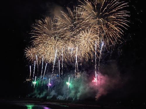 夜空を鮮やかに彩る花火