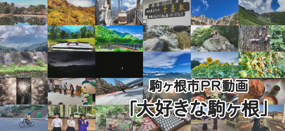 大好きなこまがね