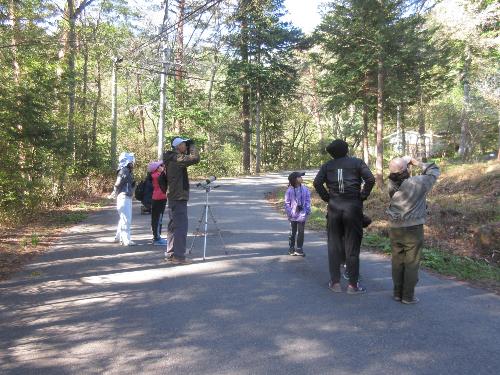 バードウォッチングの様子