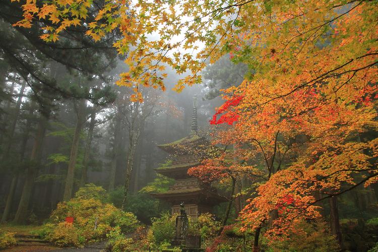 紅葉の光前寺