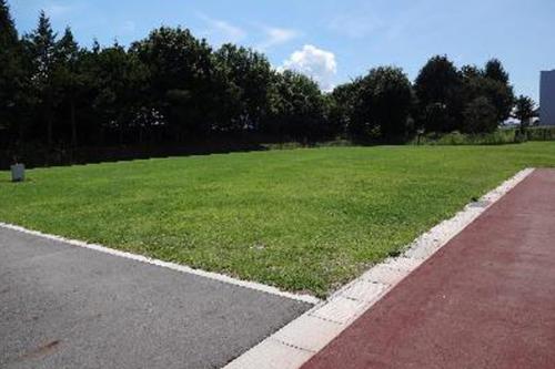 広々とした芝生の広場