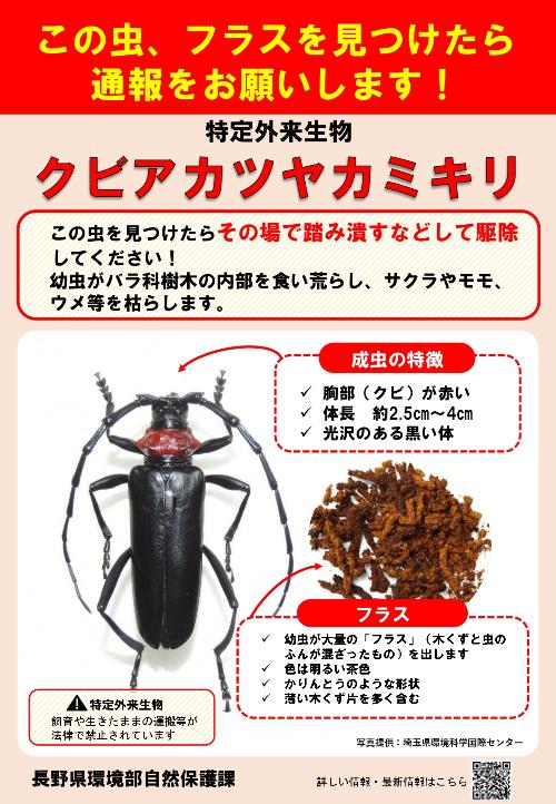 この虫、フラスを見つけたら通報をお願いします（長野県チラシ）