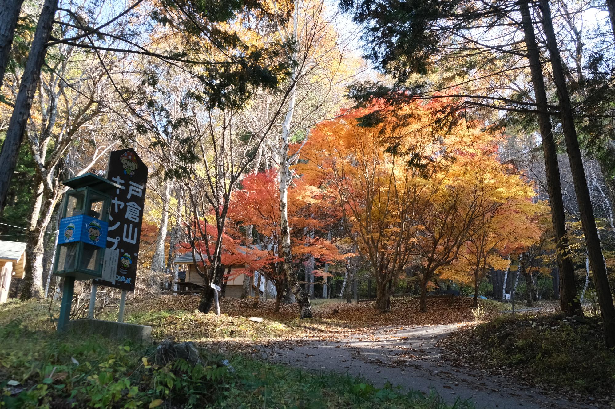 戸倉山キャンプ場