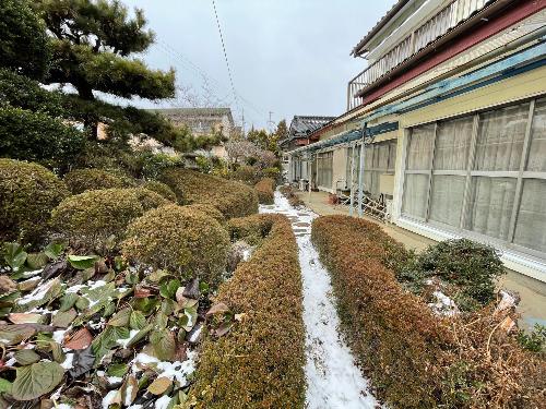 庭
