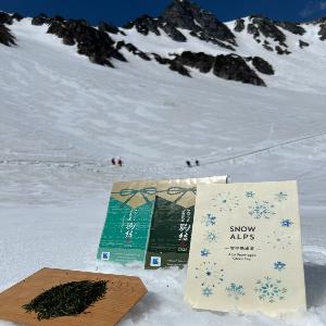 雪中茶1