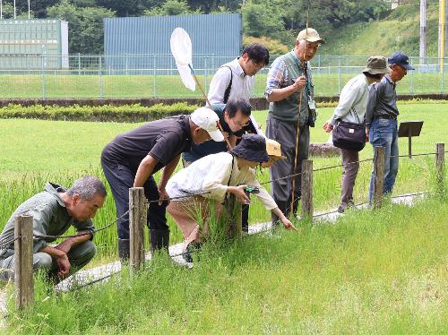 目をこらして探す参加者