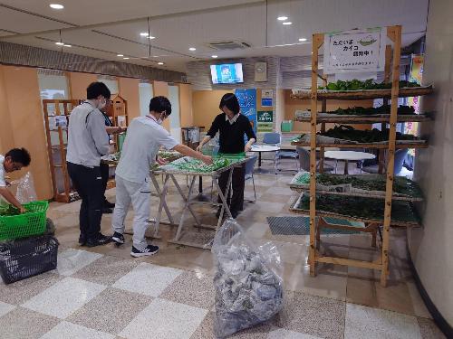 市民ホールへ設置中の様子3