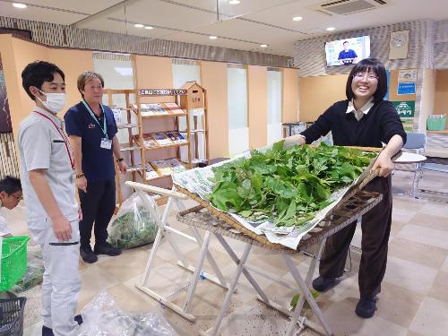市民ホールへ設置中の様子