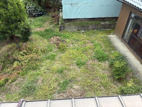 2階から見た庭
