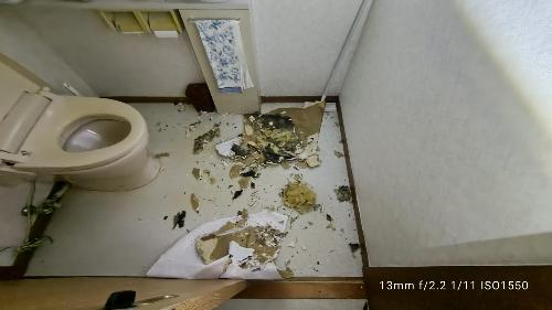 大便器