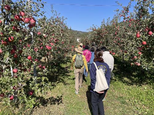 信州こまがねの秋体感会の様子