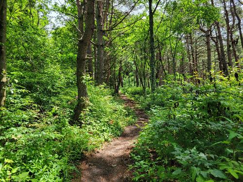 ”思い立ったが吉日” 午後からでも登山