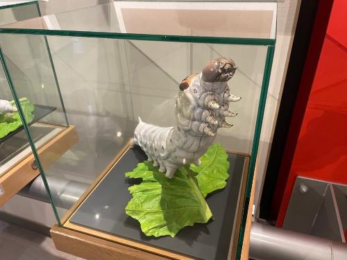 カイコが紡ぎ出すシルクの奇跡を学んで体験