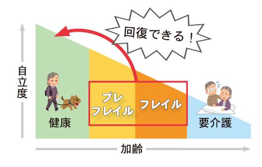 フレイル イメージ図
