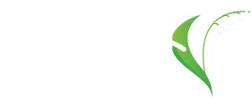 駒ヶ根市　子育てサイト　Raising Children Site（メニュー）